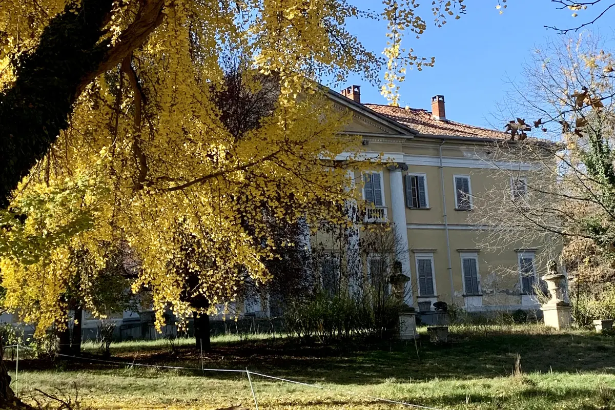 La Villa di Valdeperno nel parco del Feudo d’Asti, con il ginkgo in autunno